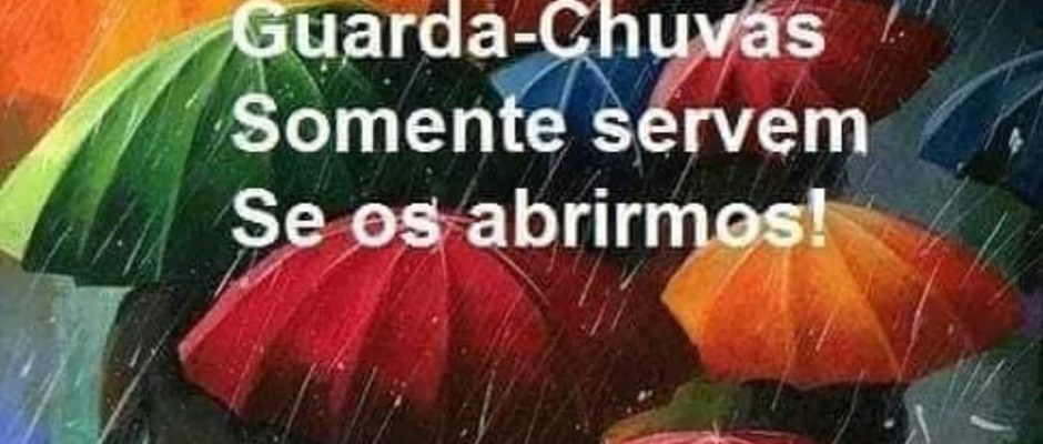 Livros, mentes e charda-chuvas...