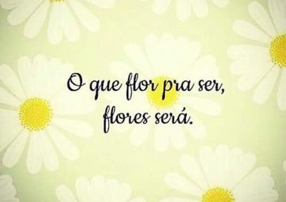 o-que-flor-pra-ser